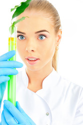 Similar image 1203436