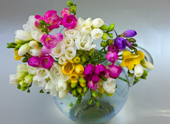 Similar image 1203487