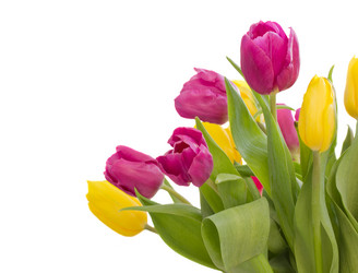 Similar image 1203490