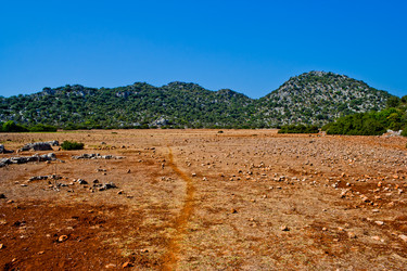 Similar image 1203493