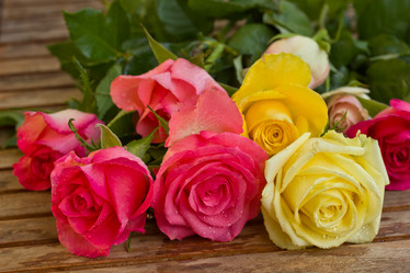 Similar image 1203535