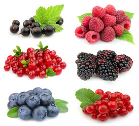 Similar image 1203612