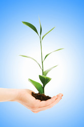 Similar image 1203896