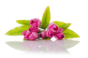 Similar image 1203932