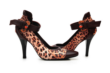 Similar image 1203984