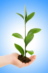 Similar image 1204006