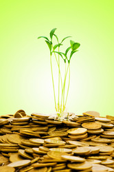 Similar image 1204085