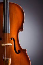 Similar image 1204116