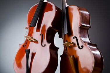 Similar image 1204119