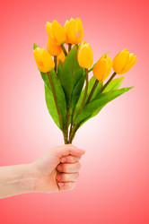 Similar image 1204137