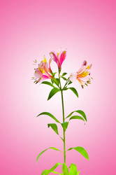 Similar image 1204182