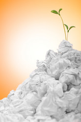 Similar image 1204204