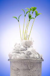 Similar image 1204205