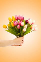 Similar image 1204242