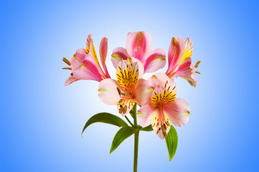 Similar image 1204276