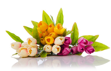 Similar image 1204308