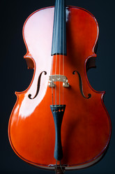 Similar image 1204537