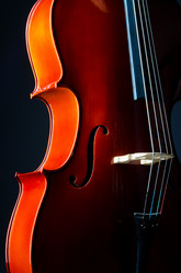 Similar image 1204538