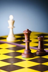 Similar image 1204644