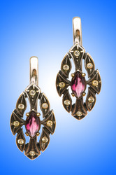 Similar image 1204655