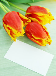 Similar image 1204677