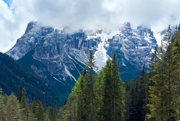 Similar image 1204713