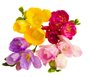 Similar image 1204716