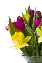 Similar image 1204725