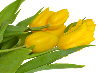 Similar image 1204728