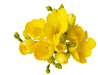 Similar image 1204729