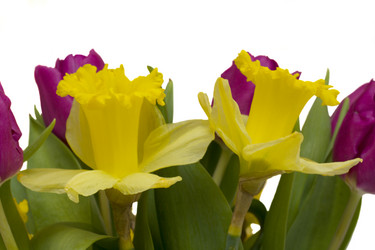 Similar image 1204730