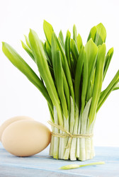 Similar image 1204743