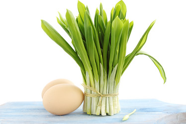 Similar image 1204744