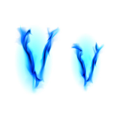 Similar image 1204795