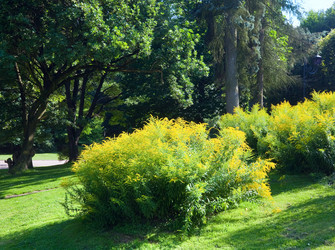 Similar image 1204819