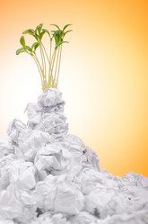 Similar image 1204890