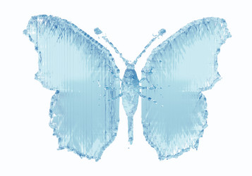 Similar image 1204944