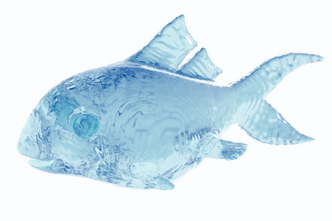 Similar image 1204948