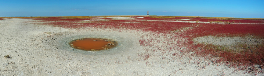 Similar image 1204993