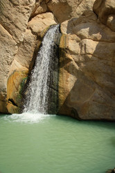 Similar image 1205034