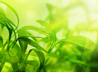 Similar image 1205037