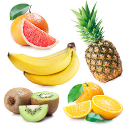 Similar image 1205042