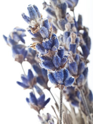 Similar image 1205043