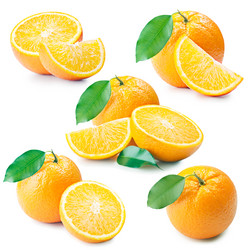 Similar image 1205049