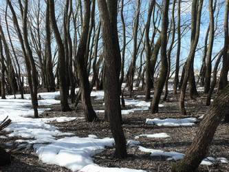 Similar image 1205071