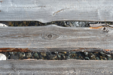 Similar image 1205076