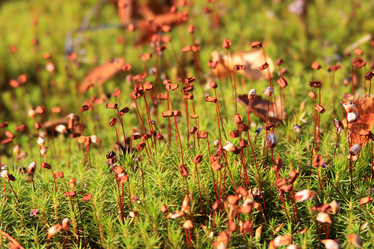 Similar image 1205077