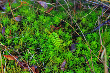 Similar image 1205079