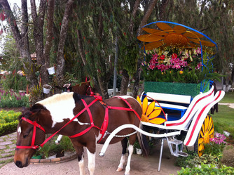 Similar image 1205082