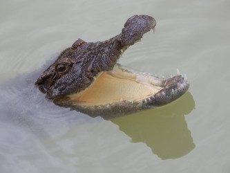 Similar image 1205083